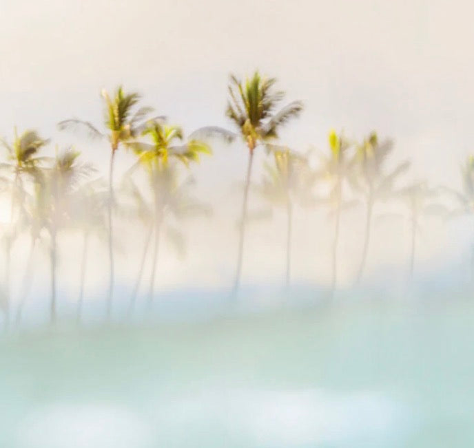 Sea Breezy Gift Frame