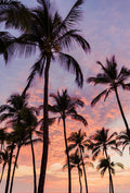 Mokapu Sunset-The Land + Sea Store by Love + Water-8x10"-Print Only-The Land + Sea Store by Love + Water Maui Ocean Art Prints
