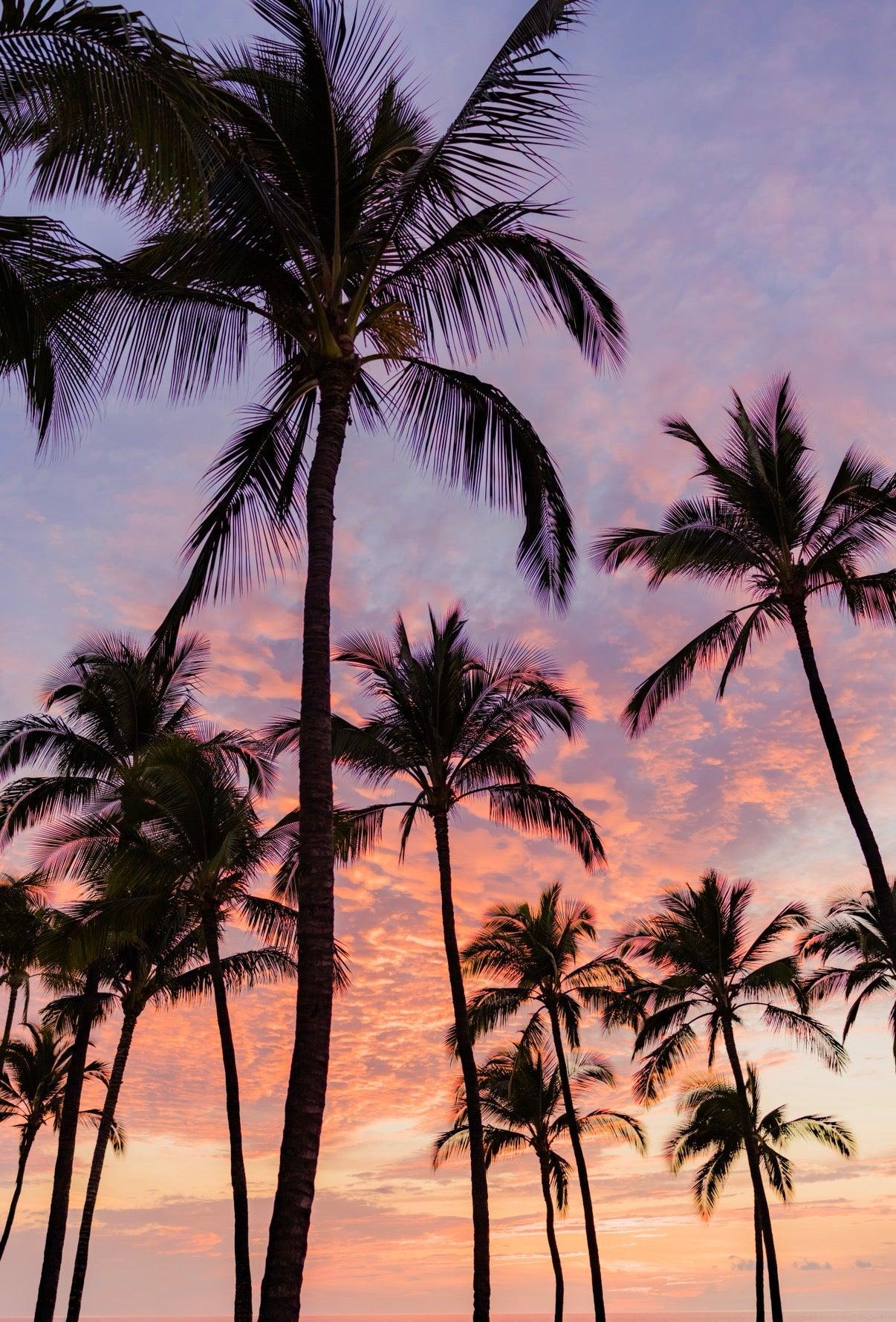 Mokapu Sunset-The Land + Sea Store by Love + Water-8x10"-Print Only-The Land + Sea Store by Love + Water Maui Ocean Art Prints
