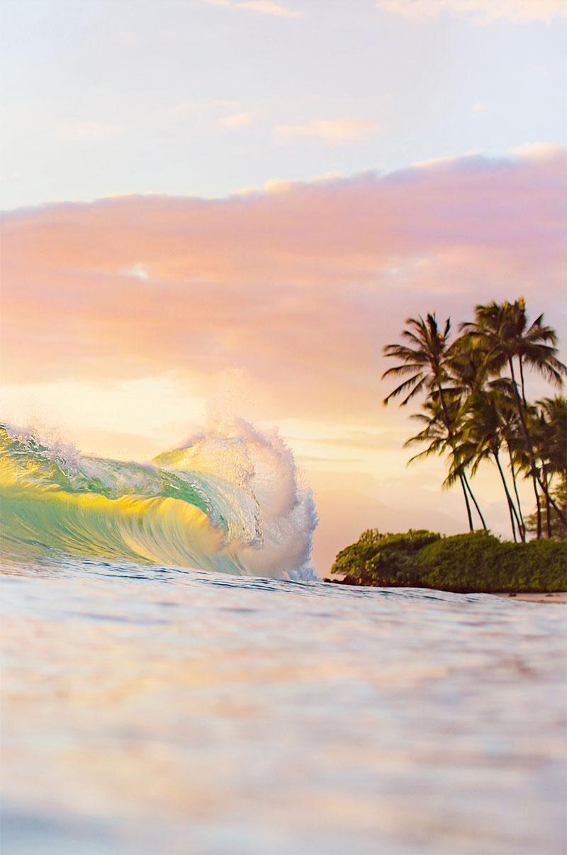 Maui Afternoon Delight-The Land + Sea Store by Love + Water-8x10"-Print Only-The Land + Sea Store by Love + Water Maui Ocean Art Prints