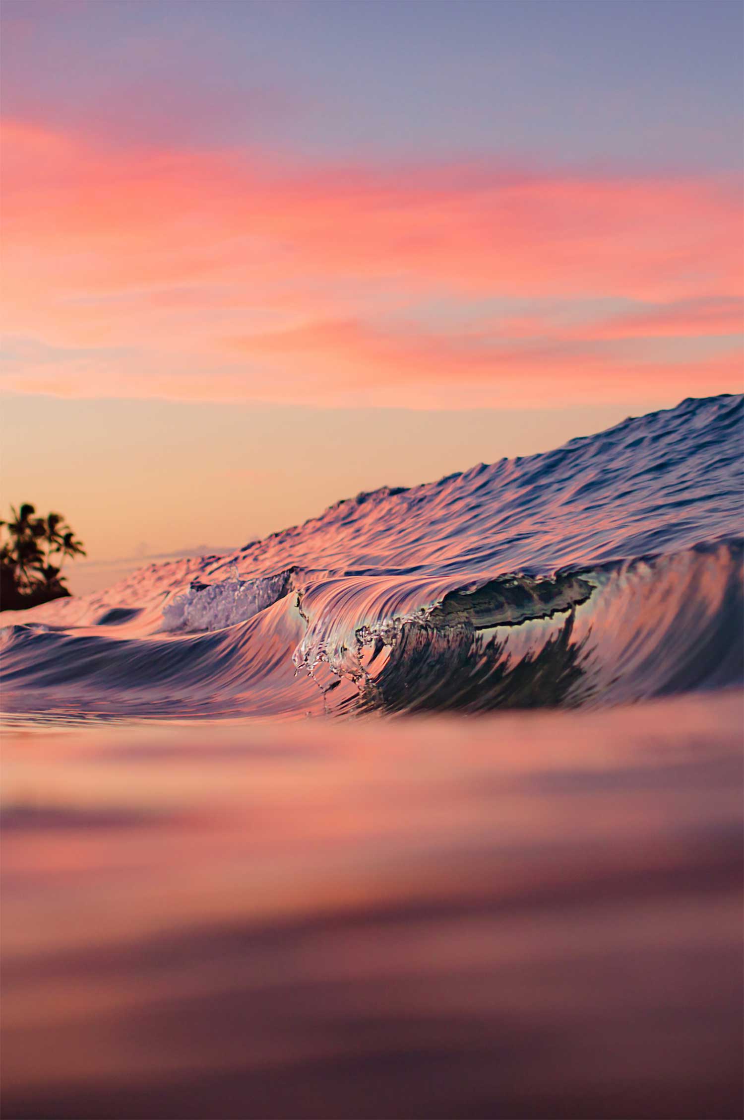 Sunset Still-The Land + Sea Store by Love + Water-Print - 8x10"-Print Only-The Land + Sea Store by Love + Water Maui Ocean Art Prints