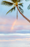 Rainbow on the Sea-The Land + Sea Store by Love + Water-8x10”-Print Only-The Land + Sea Store by Love + Water Maui Ocean Art Prints