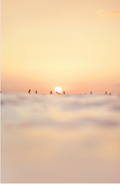 The Lineup-The Land + Sea Store by Love + Water-8x10"-Print Only-The Land + Sea Store by Love + Water Maui Ocean Art Prints